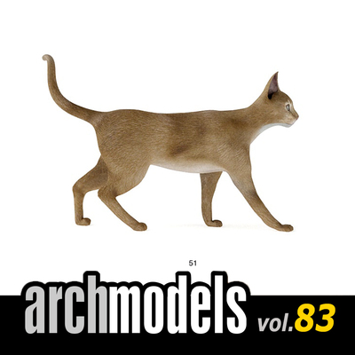 小品模型83-51（动物宠物阿比西尼亚猫）