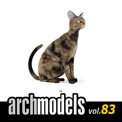 小品模型83-49（动物宠物棕色阿比西尼亚猫）