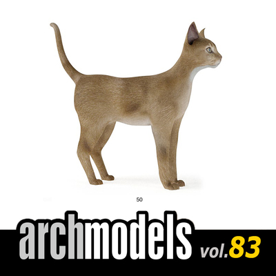 小品模型83-50（动物宠物阿比西尼亚猫）