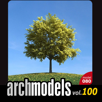 小品模型100-80（秋天植物树）