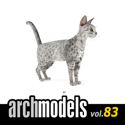 小品模型83-57（动物宠物银斑猫）