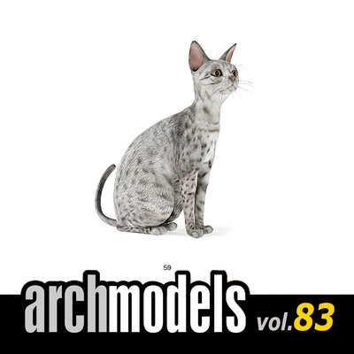 小品模型83-59（动物宠物银斑猫）