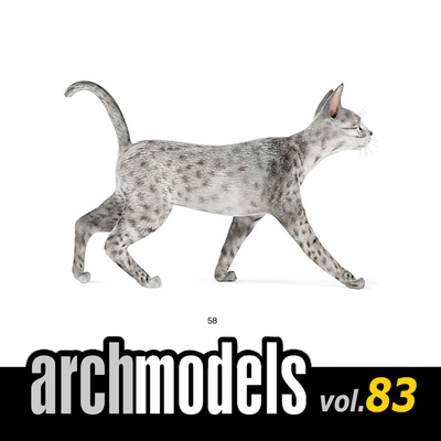 小品模型83-58（动物宠物银斑猫）