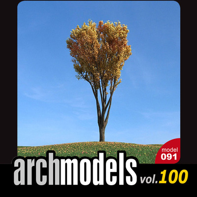 小品模型100-91（秋天植物树）