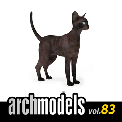 小品模型83-63（动物宠物哈瓦那棕色猫）