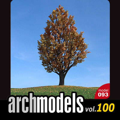 小品模型100-93（秋天植物树）