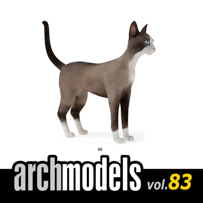 小品模型83-66（动物宠物哈瓦那棕色猫）