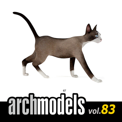 小品模型83-67（动物宠物哈瓦那棕色猫）